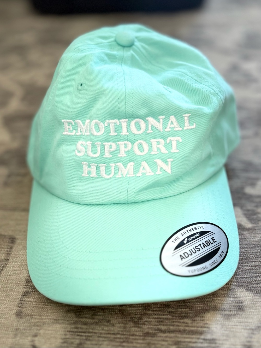 Emotional Support Human Hat Mint Aqua Yupoong TBS Stupid Pet Tricks NWOT